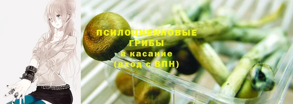 бутират Сосновый Бор