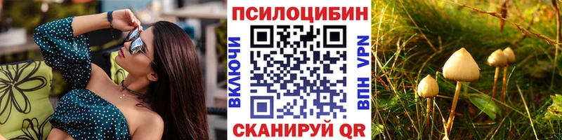 Галлюциногенные грибы мицелий  Кодинск 